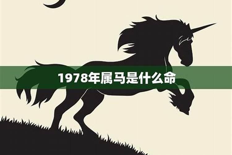 1978年马6月份运势怎么样