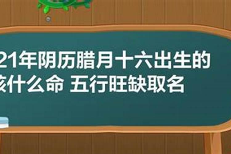 吴姓女孩名字大全属龙