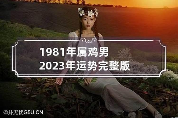 2023年生肖鸡1981年运势