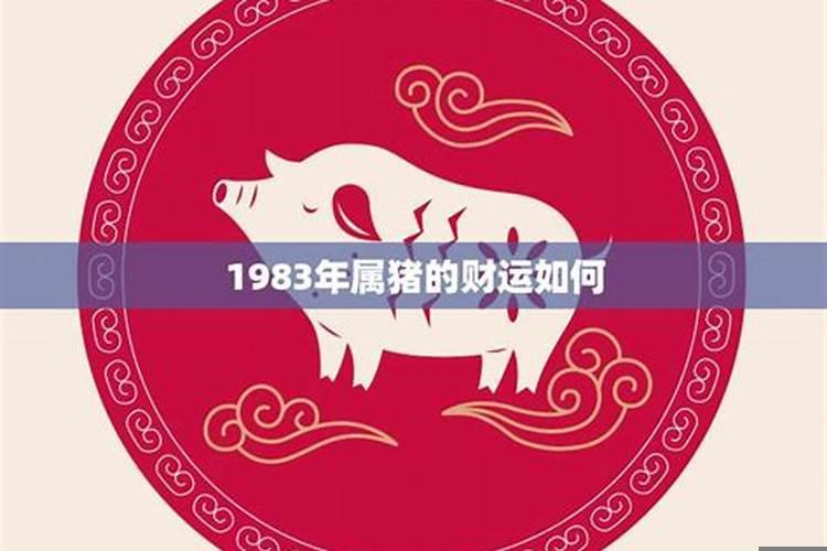 1983年出生的运势如何看