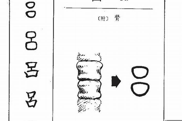 吕字五行属什么属性