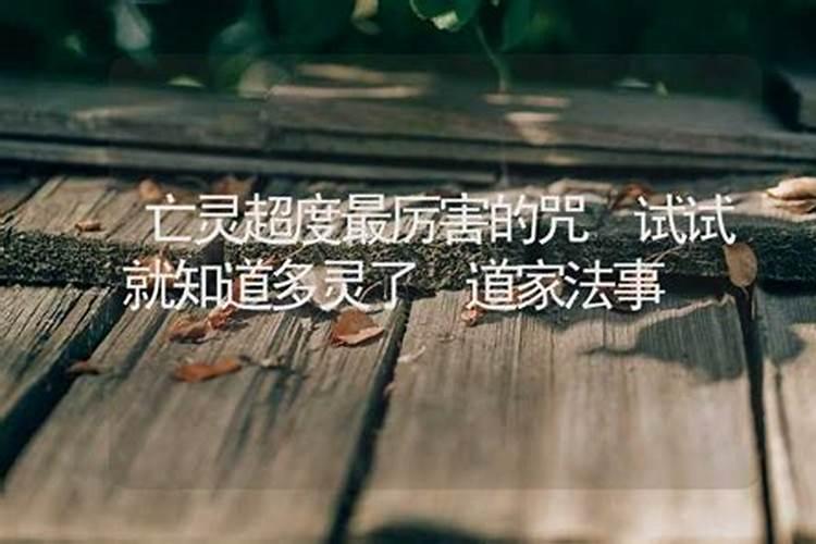 阑珊是什么生肖