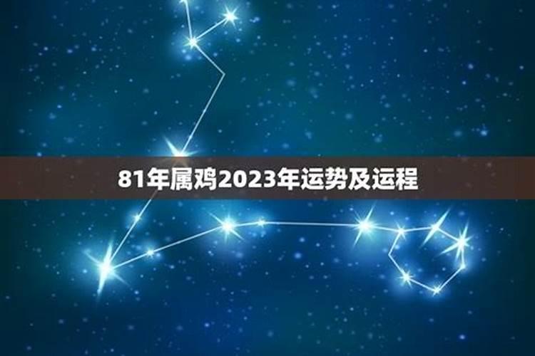 81年属鸡人今年的运势如何