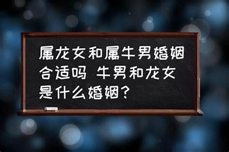 81年属鸡和84年属鼠的合财吗