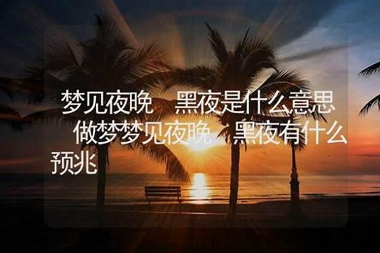 黑夜半夜是什么生肖