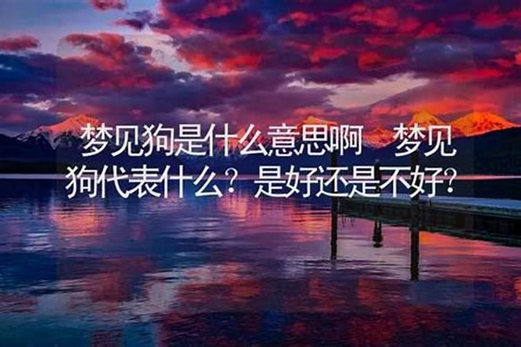 梦见两个狗什么意思