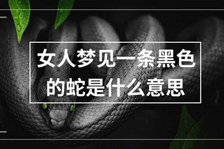 梦见黑蛇什么意思