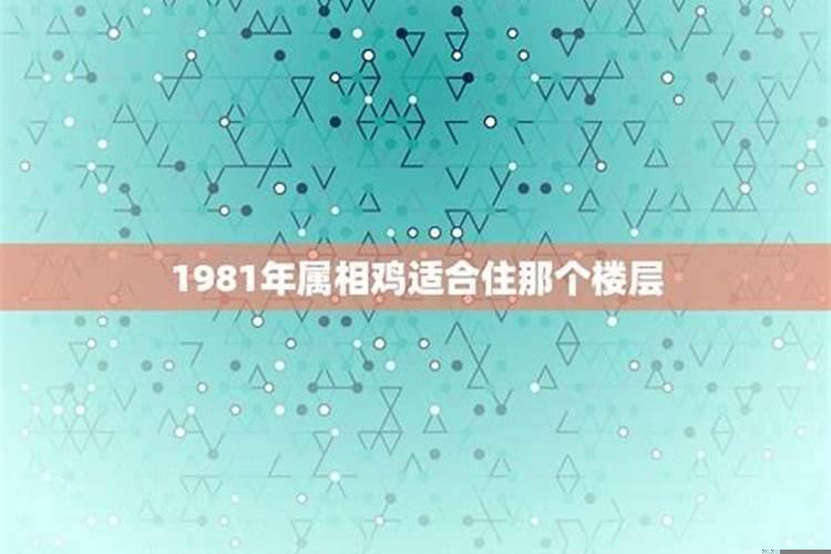 1981属鸡住几层楼最好吉利和朝方向