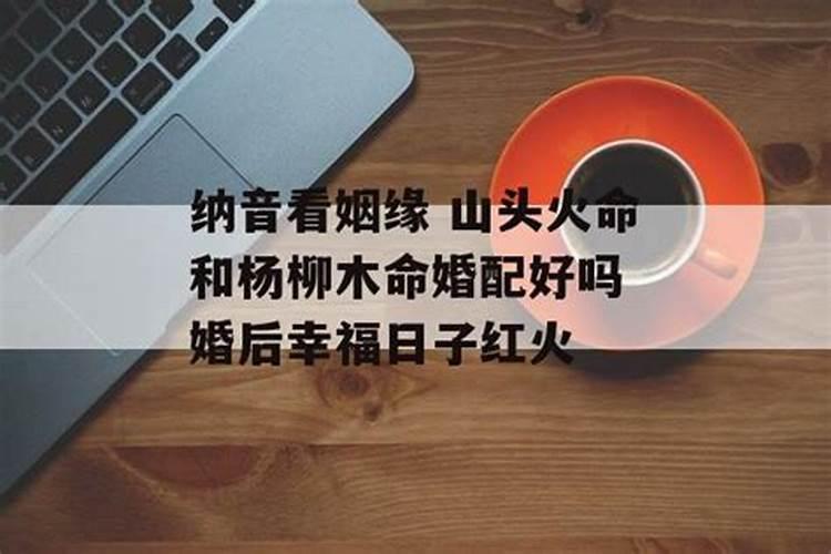 梦见老虎追着咬自己什么意思周公解梦