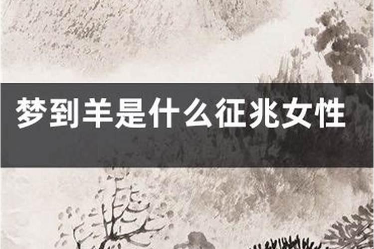 梦到人变成狗