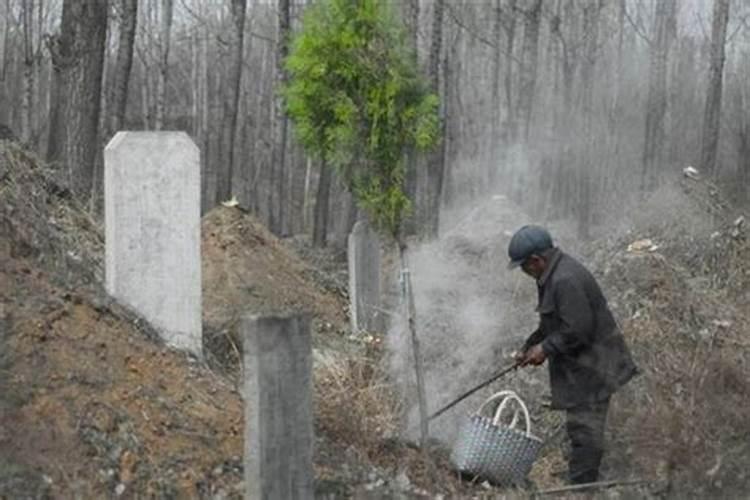 属蛇哪年犯太岁最严重