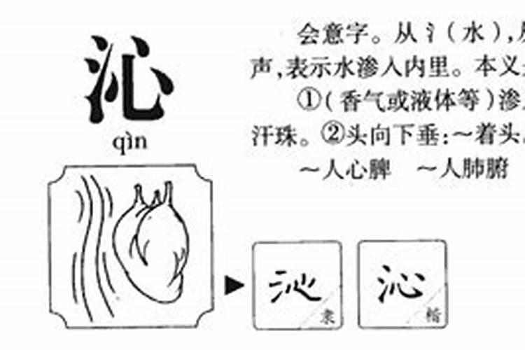 沁字五行属性