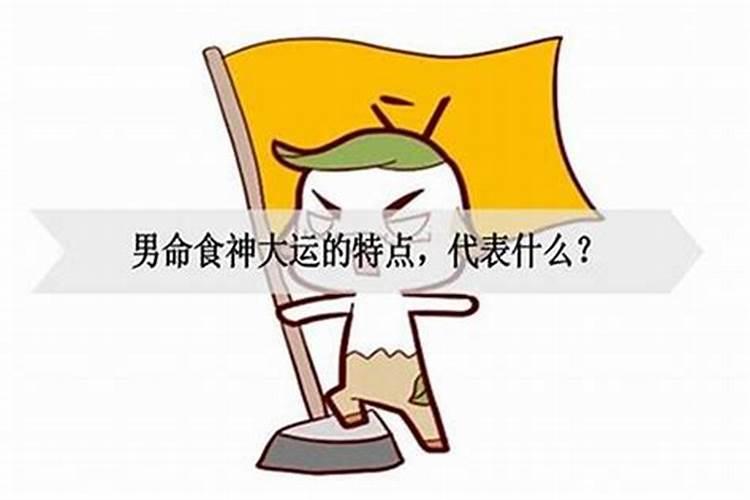 什么是食伤大运