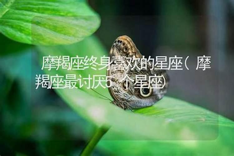 摩羯座还叫什么星座