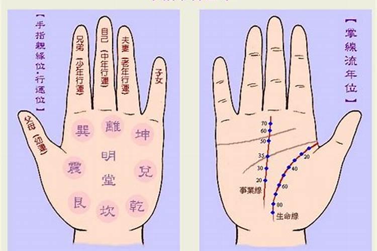 决胜千里打一动物生肖