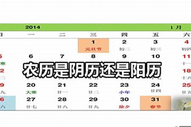 三月十五是阴历的几月几日