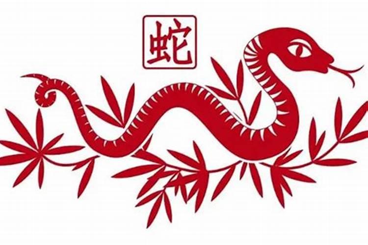 今年74岁是属什么生肖