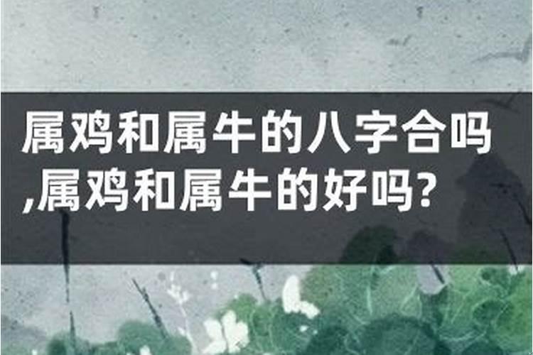 八字五行中的土代表什么