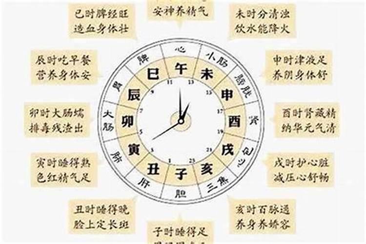 夜黑指什么生肖动物和动物