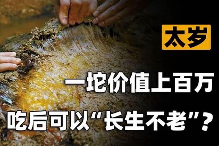 属鼠怎么增加财运