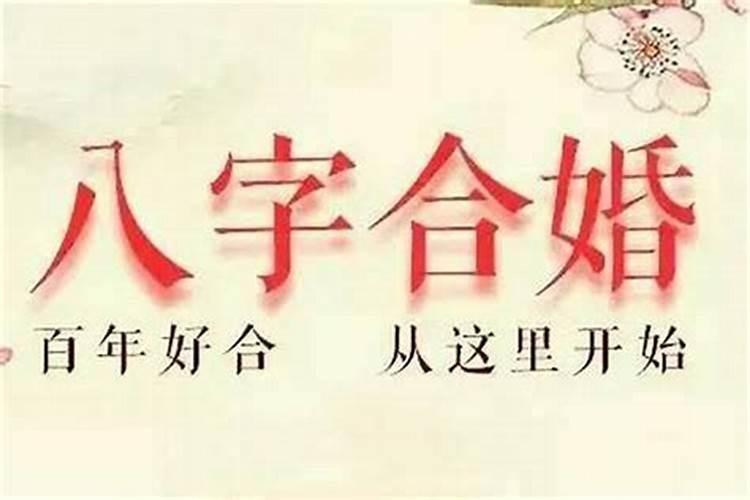 属相不合但是八字合上等婚