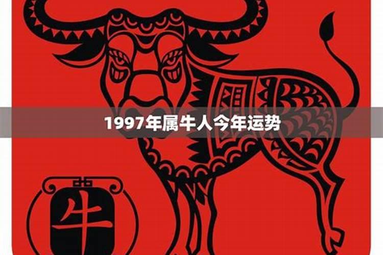 19973属牛的今年运势