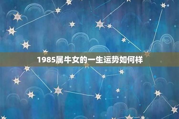 1985属牛的一生运势如何