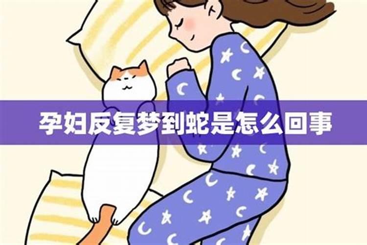 鼠年生人今年运势