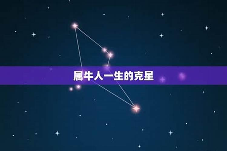 属牛人一生的克星是谁