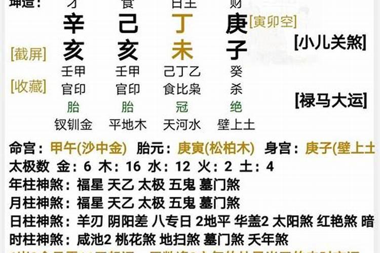 鼠和兔属相合不合适