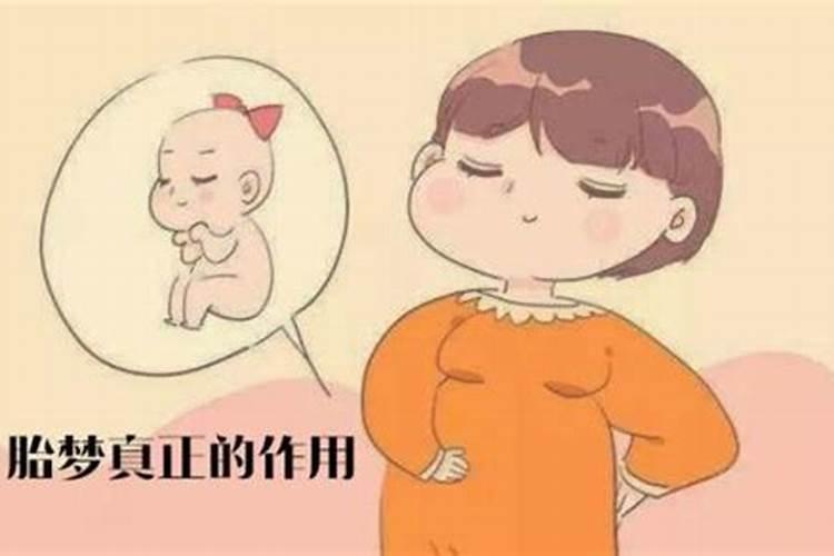 孕妇梦到蛆是胎梦吗