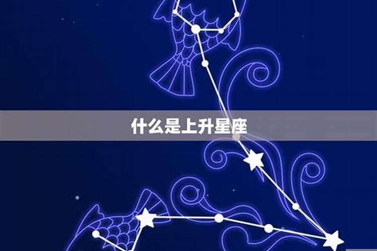 什么星座双鱼座