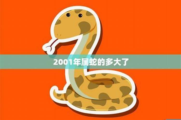 2001年属蛇2020年多大了