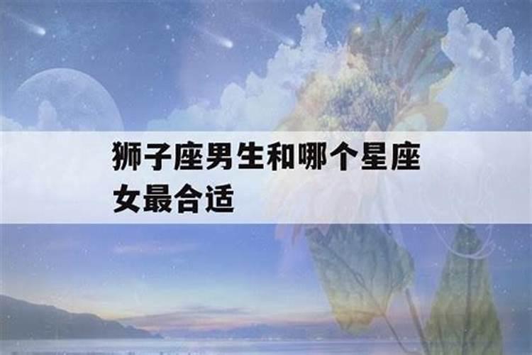 属虎和属马八字合不合