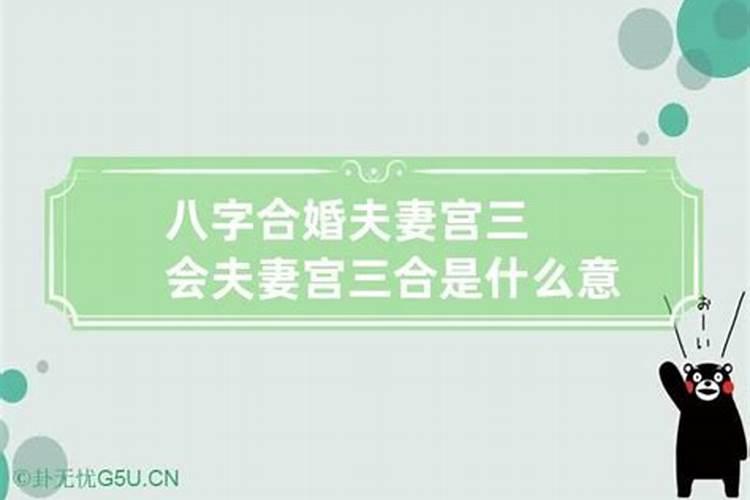 1992年的人今年财运如何