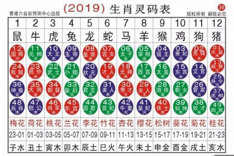 34是什么生肖码2022