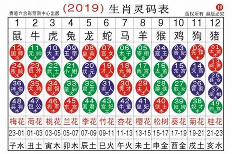 16号是什么生肖码2021