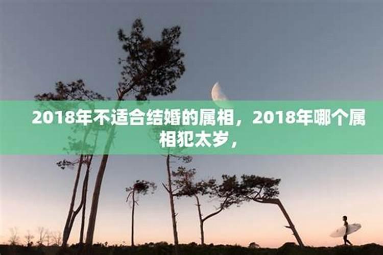 2018年不宜结婚的属相女