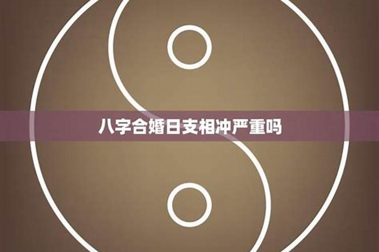 亥和子的关系八字