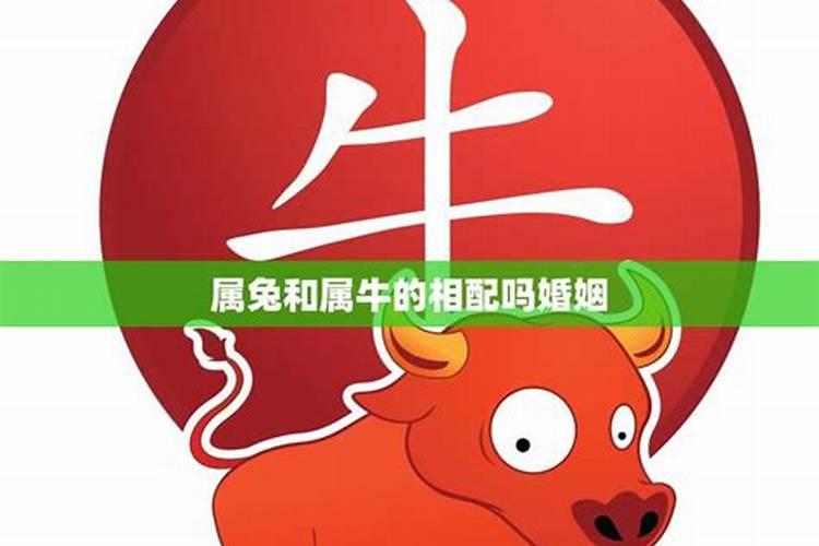 如果今年犯太岁怎么办