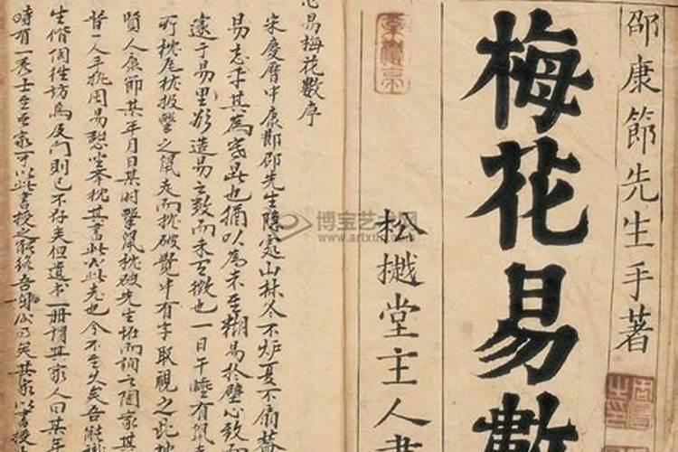 12生肖幸运号码是什么数字