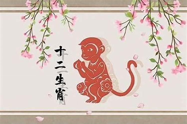 属猴什么年结婚好