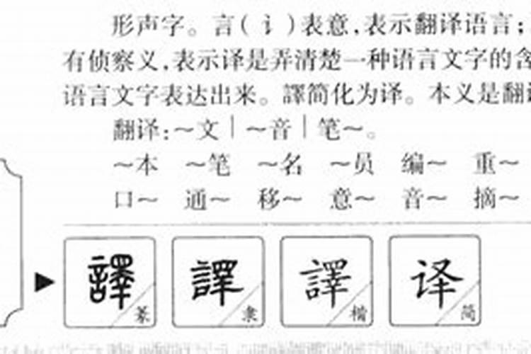 译字五行属什么,名字里寓意是什么