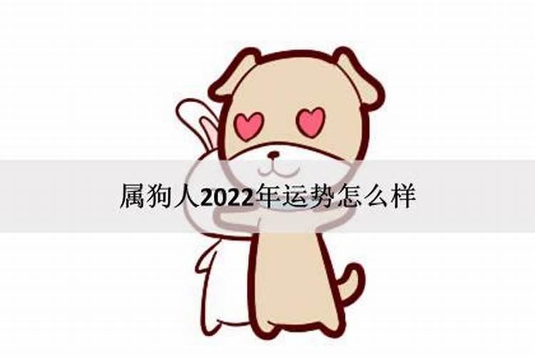 属狗人在2022年的运势