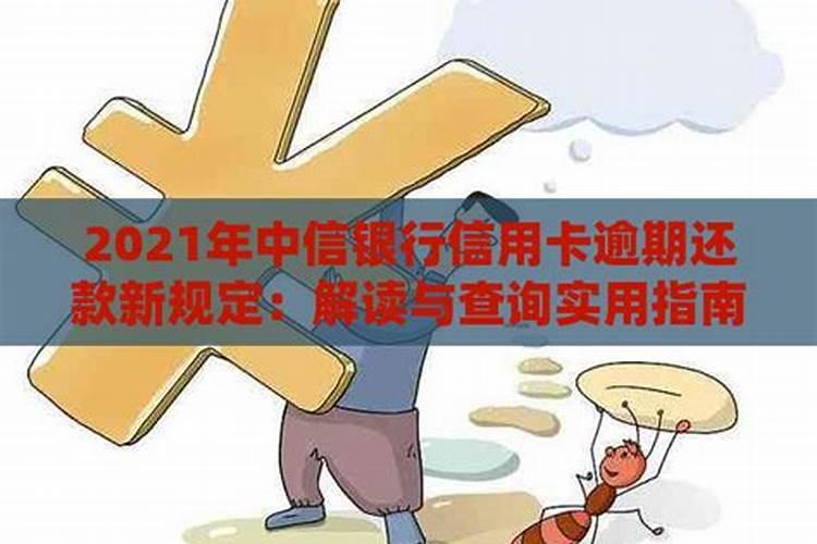 属相兔前面是什么