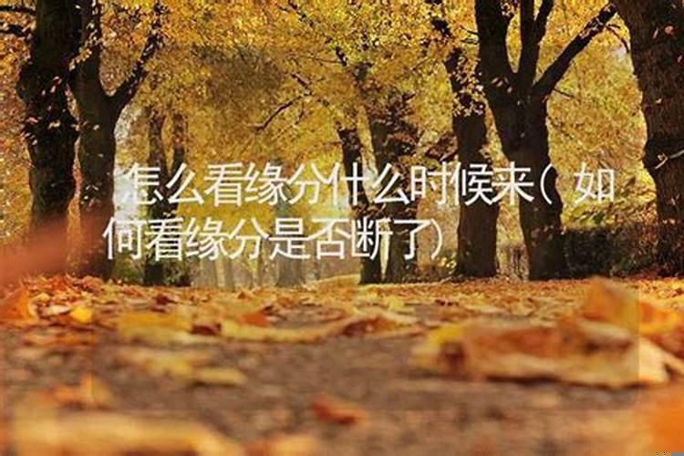 梦见情人追自己什么意思周公解梦