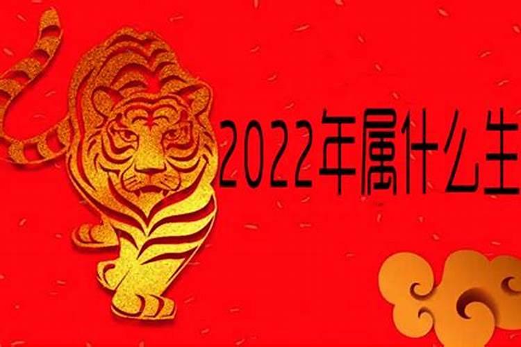 2022的属相属什么生肖