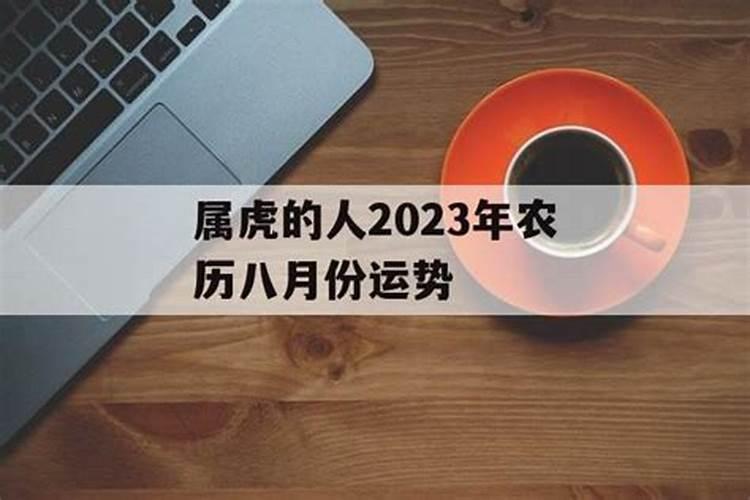 31届大运会全称叫什么