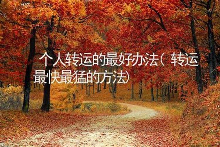 什么八字能做算命先生