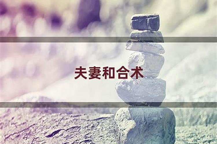 什么属相家中不放孔雀羽毛